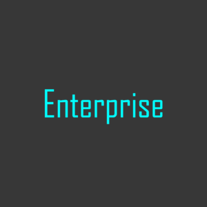 Enterprise